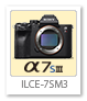 α7SIII,ilce-7sm3,α＜アルファ＞,デジタル一眼カメラ
