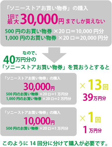α1,a1,ilce-1,お得な買い方,分割払い手数料